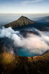 Kupu-kupu Dan Mawar Cantik